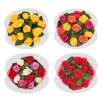 Members Mark Premium Dozen Roses 12 Stem Deals