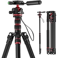 NEEWER Basics Camera Tripod Monopod 77-inch Deals